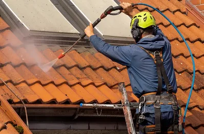 Démoussage et hydrofuge de toiture à Bénonces
